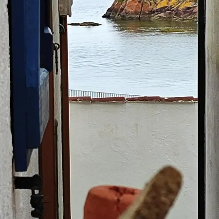 Casina Marineira * Palmeira